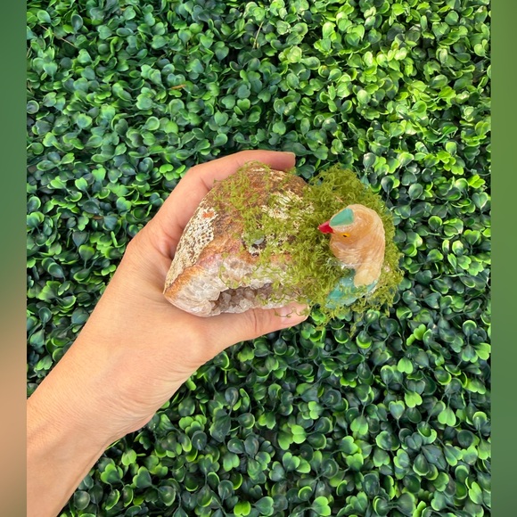 Parrot carving on Agate Geode – Handcrafted - Picture 3 of 6